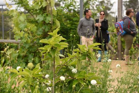 Edible Forest Annual Pass