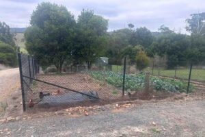 how to build a chicken tractor