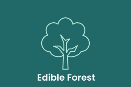 edible forest gift cards