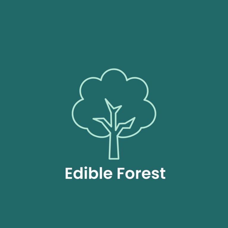 edible forest gift cards